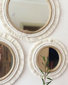 two round mirrors hanging on the wall next to a vase with a plant in it