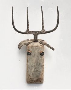 an animal's head with antlers is mounted on the wall in front of a white background