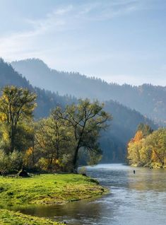 there is a river running through the mountains with trees on both sides and grass in the foreground