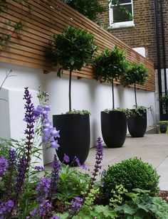 some very pretty plants in large black planters on the side of a building with a blue table and chairs