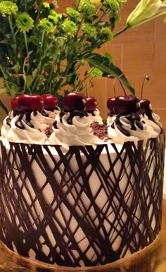 a chocolate cake with cherries on top sitting on a table next to a potted plant