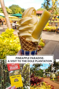 a collage of photos with the words pineapple paradise, a visit to the dole plantation