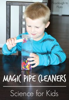 a young boy is playing with a science experiment in a plastic container and the text, magic pipe cleaners science for kids