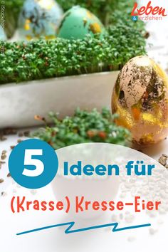 an egg sitting on top of a table next to other eggs and plants with the words, 5 ideen fur klasse kesse - eier