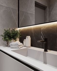 a white sink sitting under a bathroom mirror next to a plant and towel dispenser