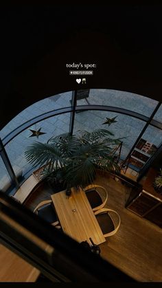 an overhead view of a table and chairs in a room with a plant on the floor