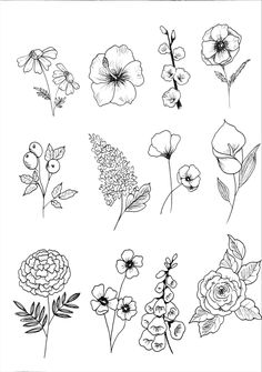 the flowers are drawn in black and white