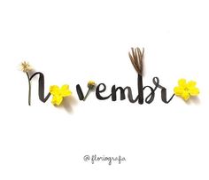 the word november written in cursive writing with yellow flowers and grass on top