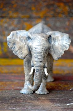 an elephant standing on top of a wooden floor next to a wall with yellow paint