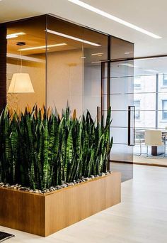 Home decor ideas with plants living room Commercial Office Design, Office Design Inspiration, Deco Studio, Office Space Design, Dental Office Design, Modern Office Design, Corporate Interiors, Office Layout, Interior Plants