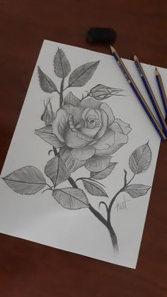 Karakalem gül çizimi Realistic Flower Drawing, Butterfly Sketch, Rose Sketch, Pencil Drawings For Beginners, Boho Art Drawings, Pencil Sketch Drawing, Cool Pencil Drawings