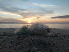 Stories about the beach and the sea. because no one knows how loyal the beach is waiting for the waves to return royalty free stock photos