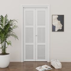 a potted plant sitting on top of a wooden floor next to a white door