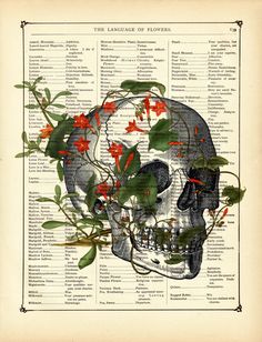 a skull with red flowers on it's head is shown in an old book