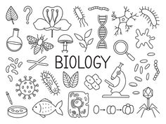 the word biology surrounded by hand drawn doodles and icons in black on a white background