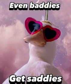 a duck wearing sunglasses with the caption even baddies get saddles