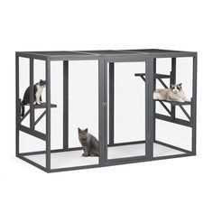 two cats are sitting in the caged enclosures that each have their own cat