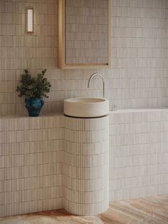 a white sink sitting under a bathroom mirror next to a bath tub with a plant in it