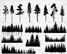 the silhouettes of different trees are shown