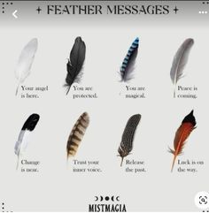 Feather Color Meaning, Feather Magic, Witch Spirituality, Magic Spell Book, Wiccan Spell Book, Witchcraft Spell Books