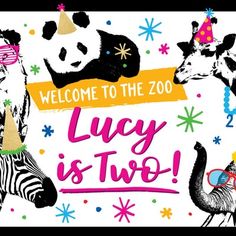 an image of a welcome to the zoo with zebras and giraffes