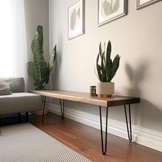 a living room with a couch, coffee table and two potted plants on it