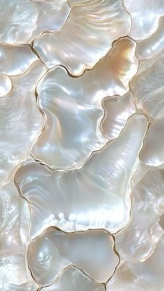 an image of mother of pearl shells in the shell pattern that is being used as wallpaper