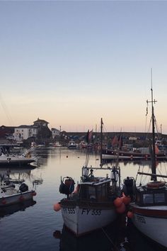 there are many boats that are docked in the water