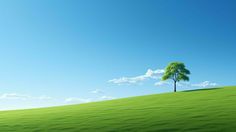 a lone tree stands alone in the middle of a green field under a blue sky