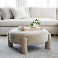 a living room with a couch, coffee table and potted plant on the ottoman