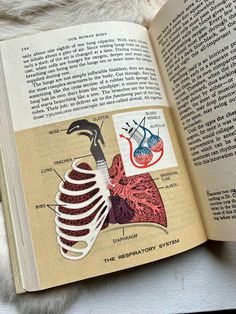 an open book showing the anatomy of the heart and lungs with labels on it's pages