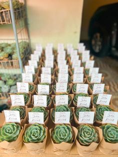 there are many succulents with place cards on them