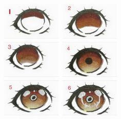 an image of different types of eyes in the process of being drawn with pencils