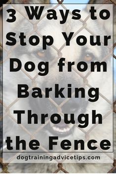 a dog behind a fence with the words 3 ways to stop your dog from barking through the fence