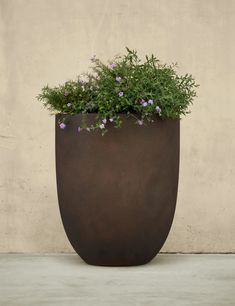 a large potted plant with purple flowers in it sitting on the ground next to a wall