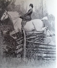 a woman riding on the back of a white horse over a wooden fence next to a forest