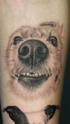 a tattoo with a dog's face and two birds on it