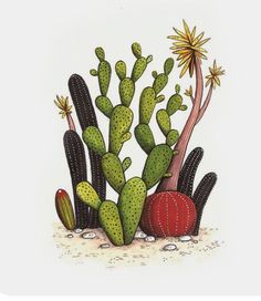 an image of cactus plants in the sand