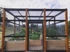 an outdoor vegetable garden with lots of plants