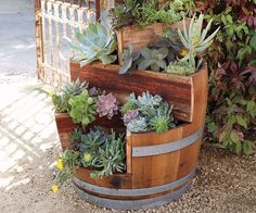 a wooden barrel filled with succulents and plants