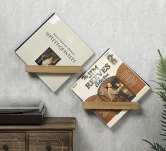 two books are sitting on top of a wooden shelf next to a potted plant