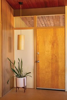 a potted plant sitting in front of a wooden door with a lamp hanging above it