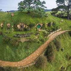 an aerial view of a hobbot in nuova, with trees and grass