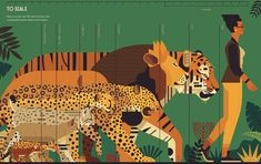 an image of a tiger and other animals in the forest with words to scale on it