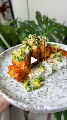 a person holding a plate with food on it in front of a potted plant