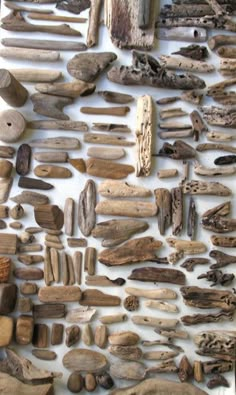 several pieces of driftwood laid out on a table