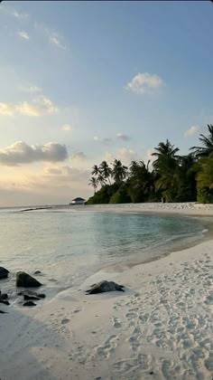 an empty beach with palm trees in the background