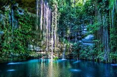 two pictures with people swimming in the water and hanging from trees overhanging them