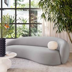 a white couch sitting in front of a window next to a potted palm tree