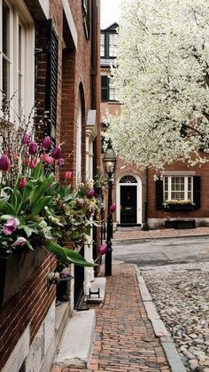 an alley way with brick buildings and flowers in the window boxes on either side of the street